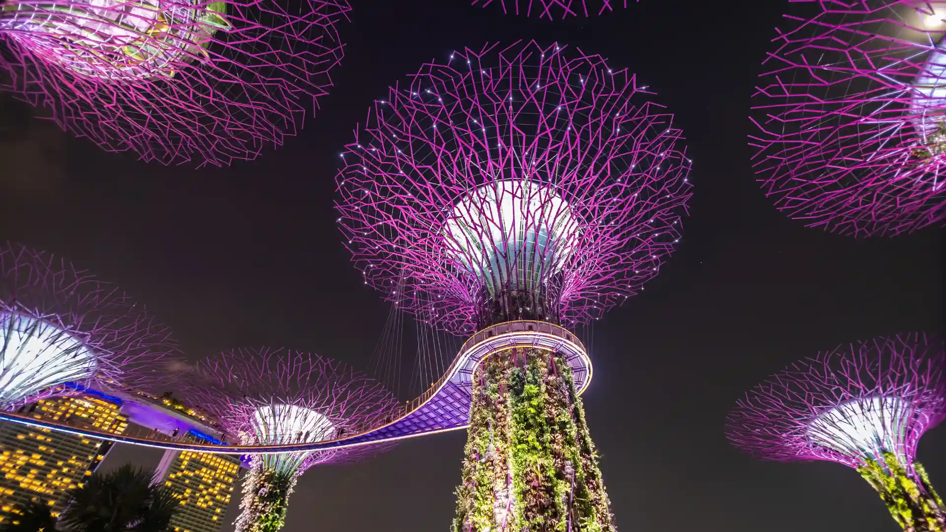 4 Night 5 Days Complete Singapore